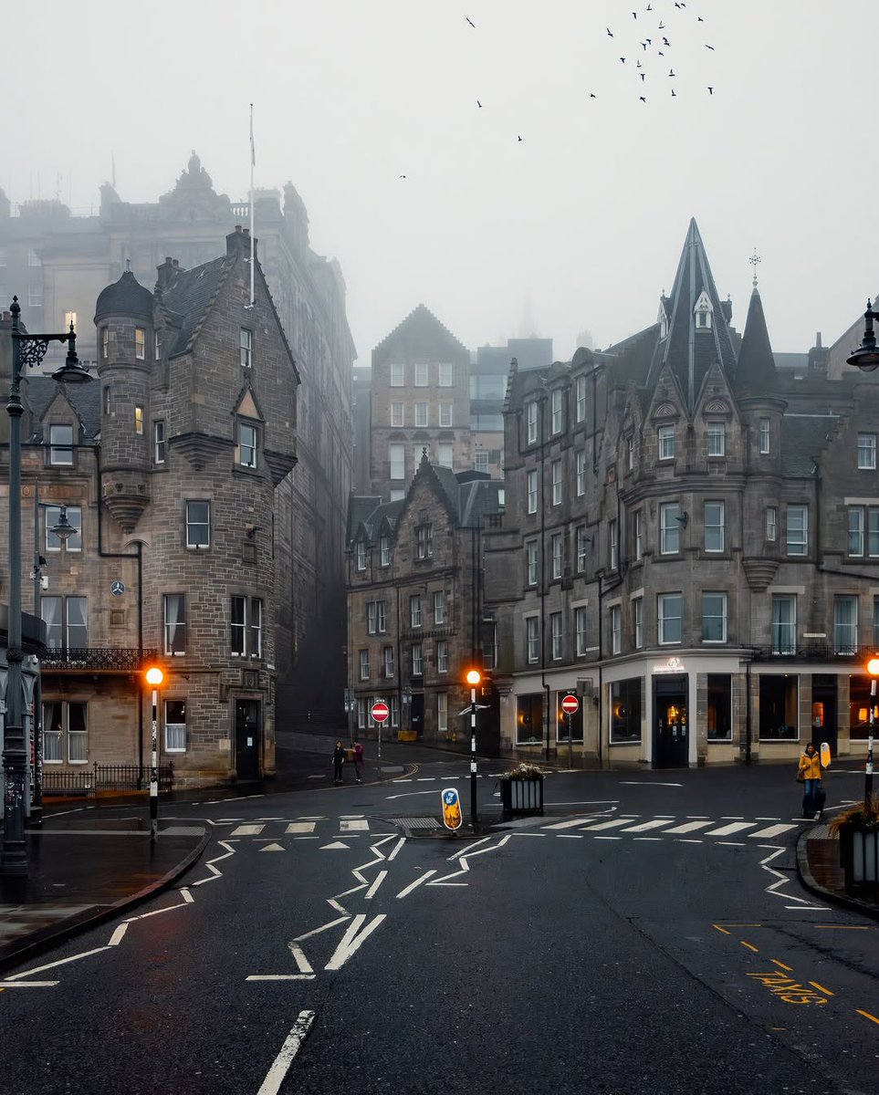 𝘄𝗮𝗻𝗱𝗲𝗿𝘁𝗿𝗮𝘃𝗲𝗹𝘀 tweet media