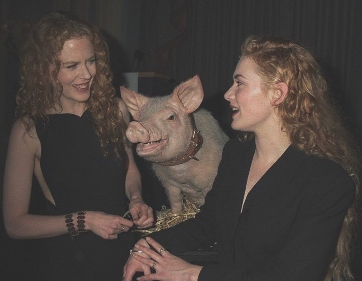 alliharvard's tweet image. Nicole Kidman and Kate Winslet with Babe the pig at the Oscars, 1995