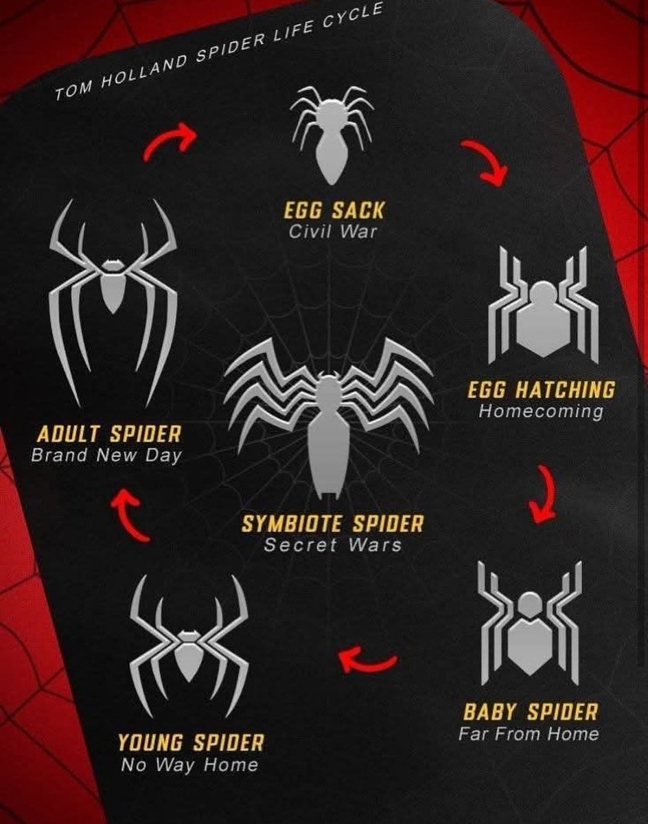 🚨 WAIT… Did You Notice This Spider-Man Logo Theory?!

Here's something wild 👀
The spider symbol on Peter's chest grows as he grows in the MCU.

Civil War &amp; Homecoming:
• The Stark suit has a tiny spider.
• Like a baby spider.
• Peter is still "Iron Boy Jr.'" learning under
