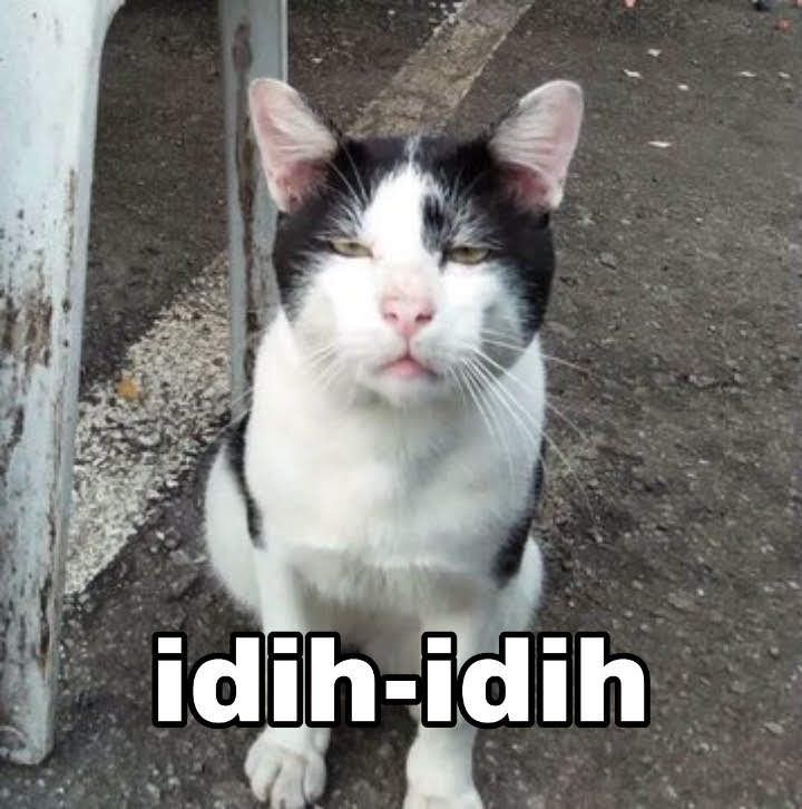 CuteyyCatt's tweet photo. @umparum3 Lihatlah anak iblis sedang berbicara https://t.co/K2FWfTBjvb