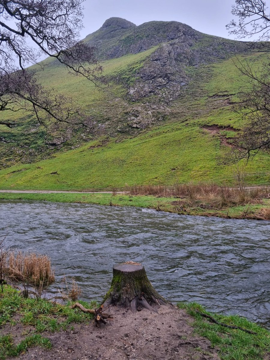 Canal Boats and Artichokes tweet media