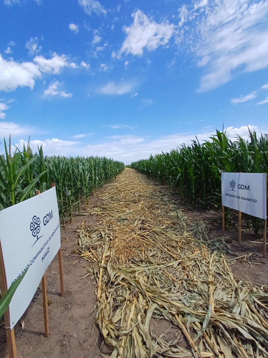 SalincoAgro tweet media