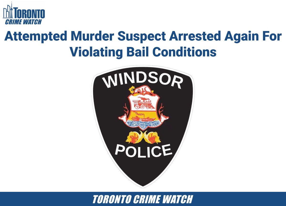 Toronto Crime Watch tweet media