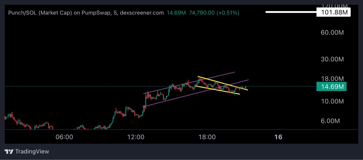 Nice breakout on $PUNCH