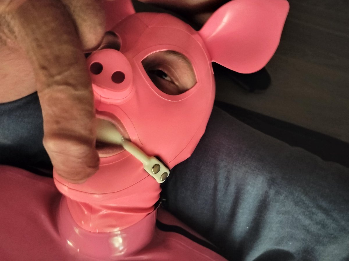 Pup Rolo tweet media