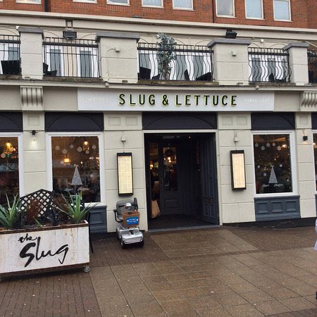 Trump launches new business venture