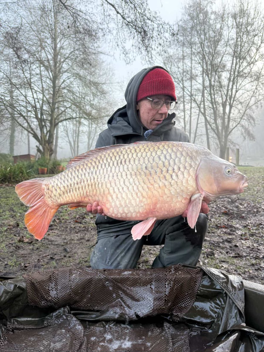 Mainline Baits Official tweet media