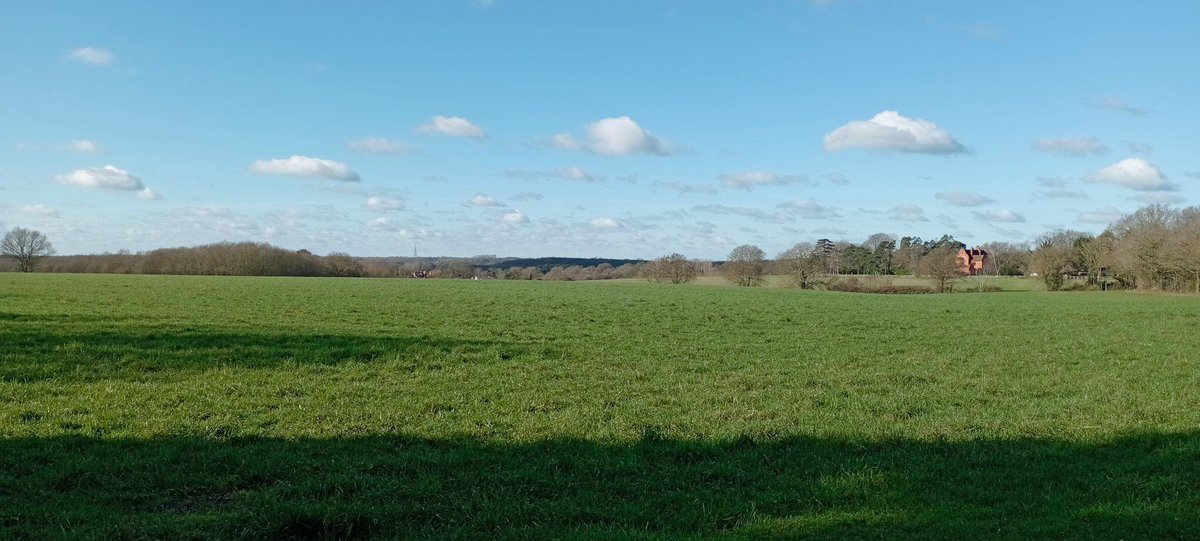 Neil Pellinacci tweet media