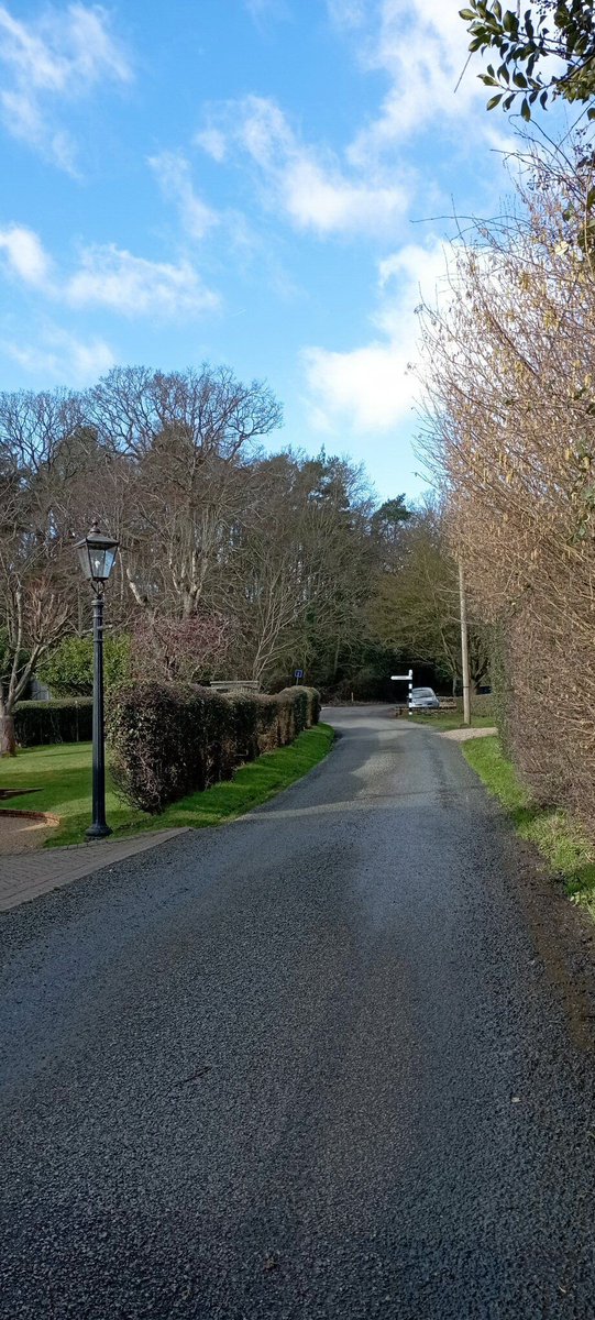 Neil Pellinacci tweet media