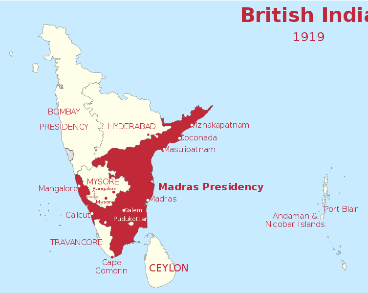 విరాట వీరా tweet media