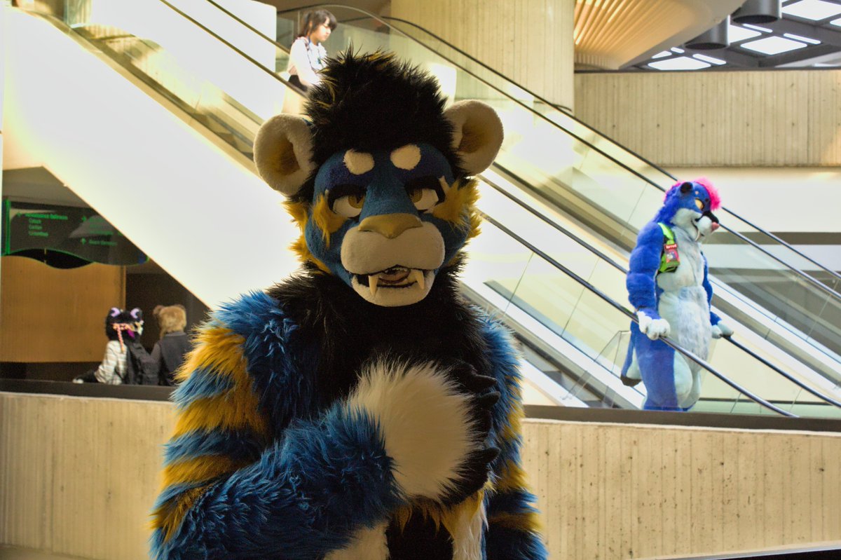 fake reindeer tweet media