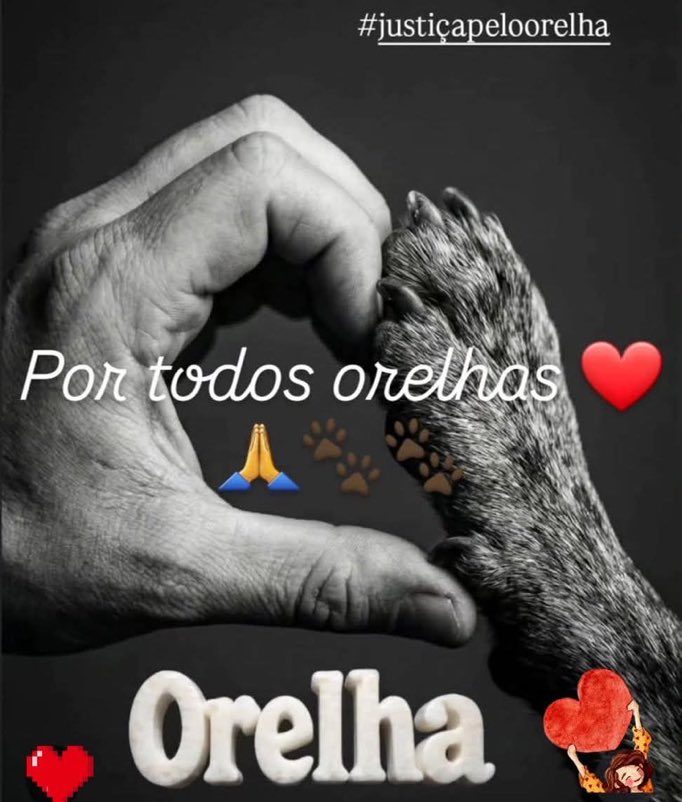 Nina - 🇧🇷 LULA 2026! CPI do Orelha já!. tweet media