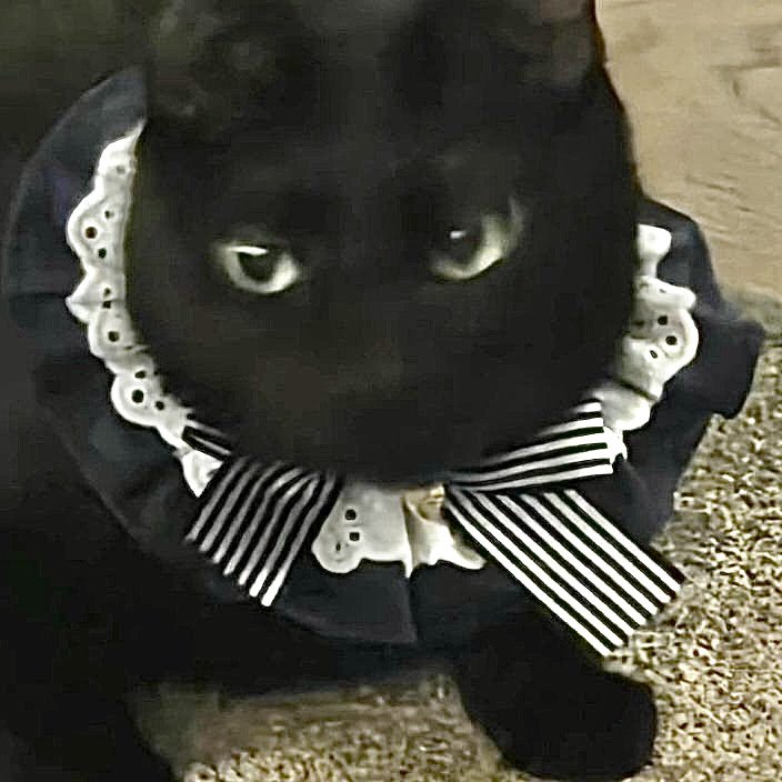 このかわいいレースはミンユンギの趣味ですか？ #whatisyourlovesong