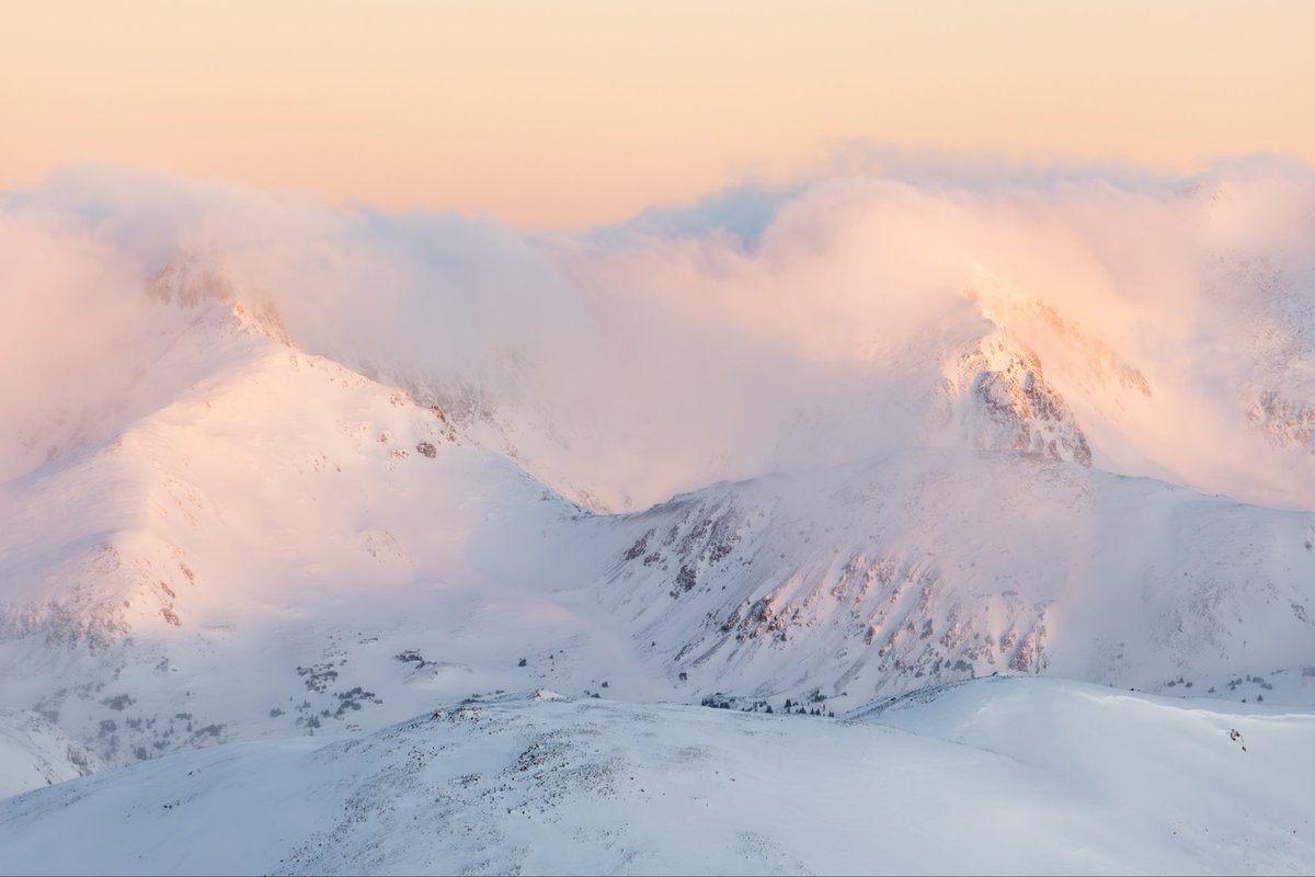 Mike Kvackay tweet media