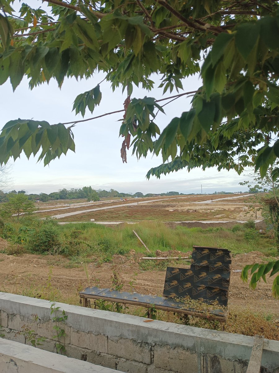 Tito RED👿 tweet media