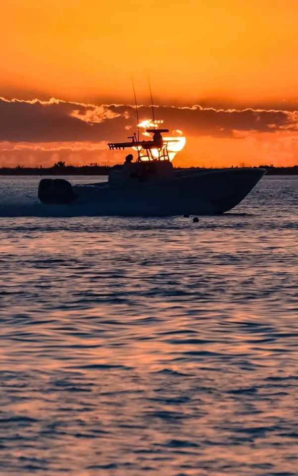 Floridian Creations tweet media