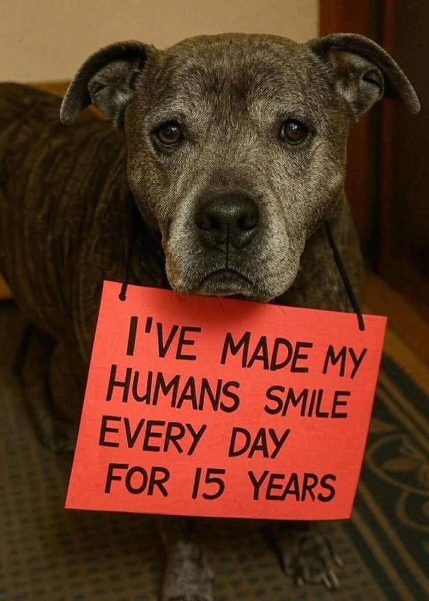 Celebrating 15 wonderful years with my dear Buddy. You are truly special.😍