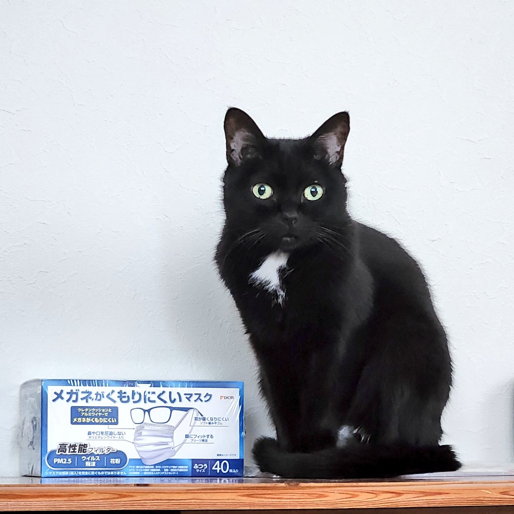 こちら「メガネがくもらないマスク」でございます🐈‍⬛🐾 おはよう
