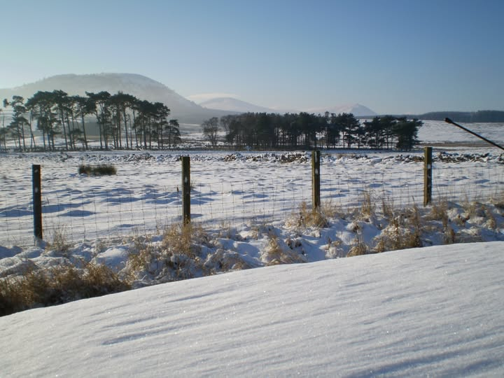 EngelenHenry's tweet image. “Discipline your thoughts, and success will follow.”
#Discipline #SuccessMindset #SelfMastery #Consistency