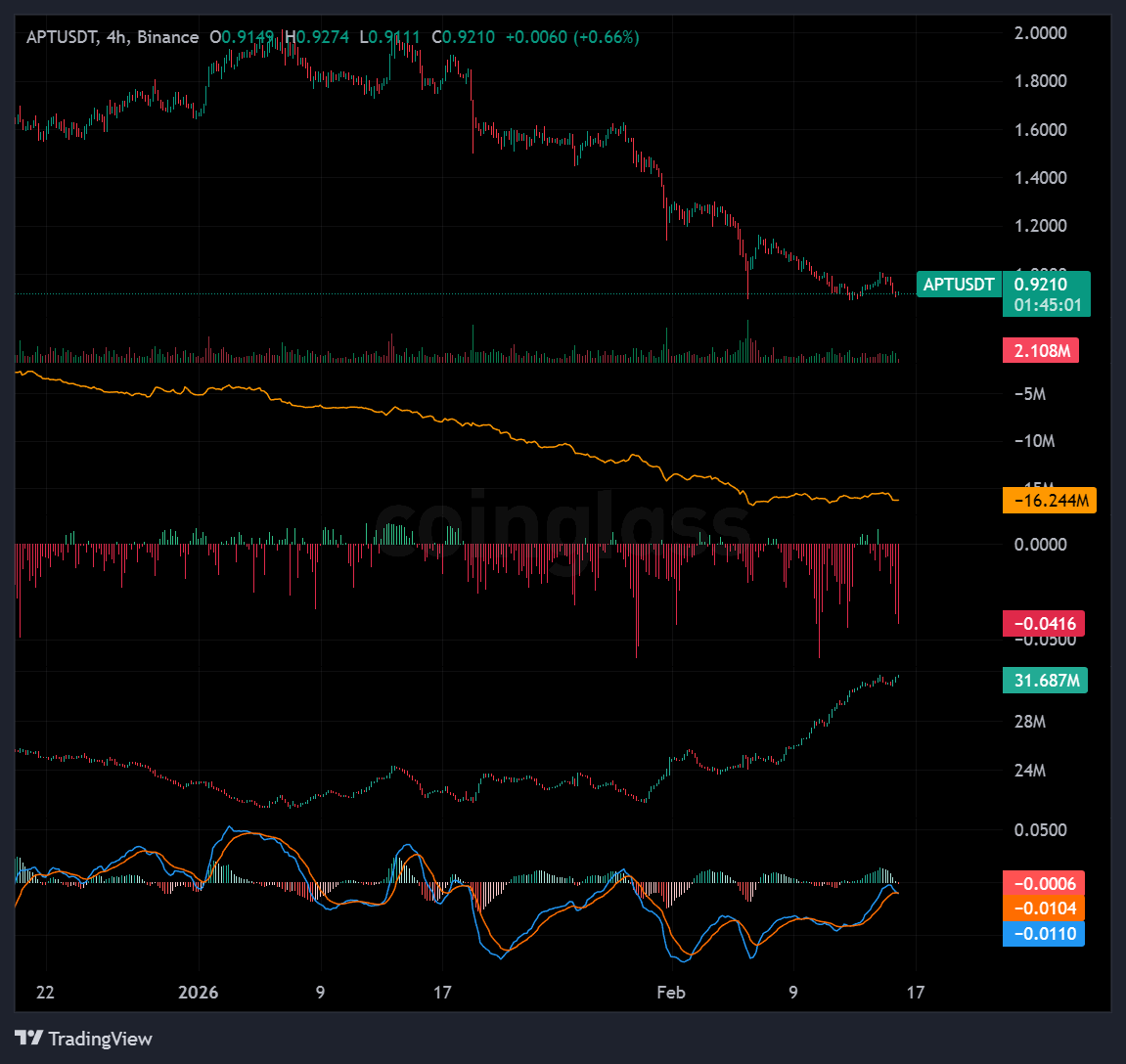 محمد المصري tweet media