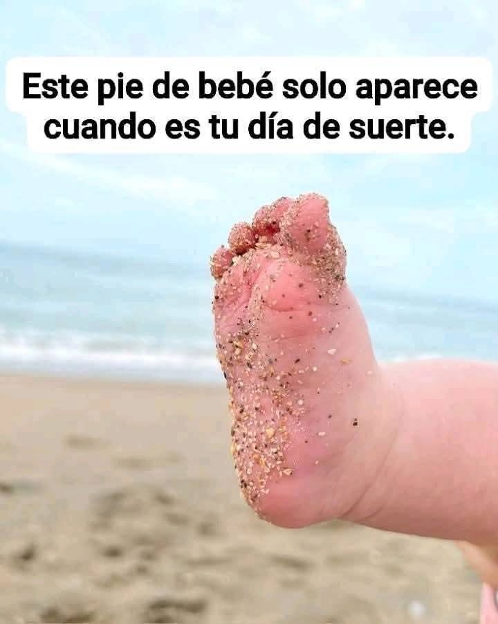 Tu bro de confianza (@elgranbro) on Twitter photo 