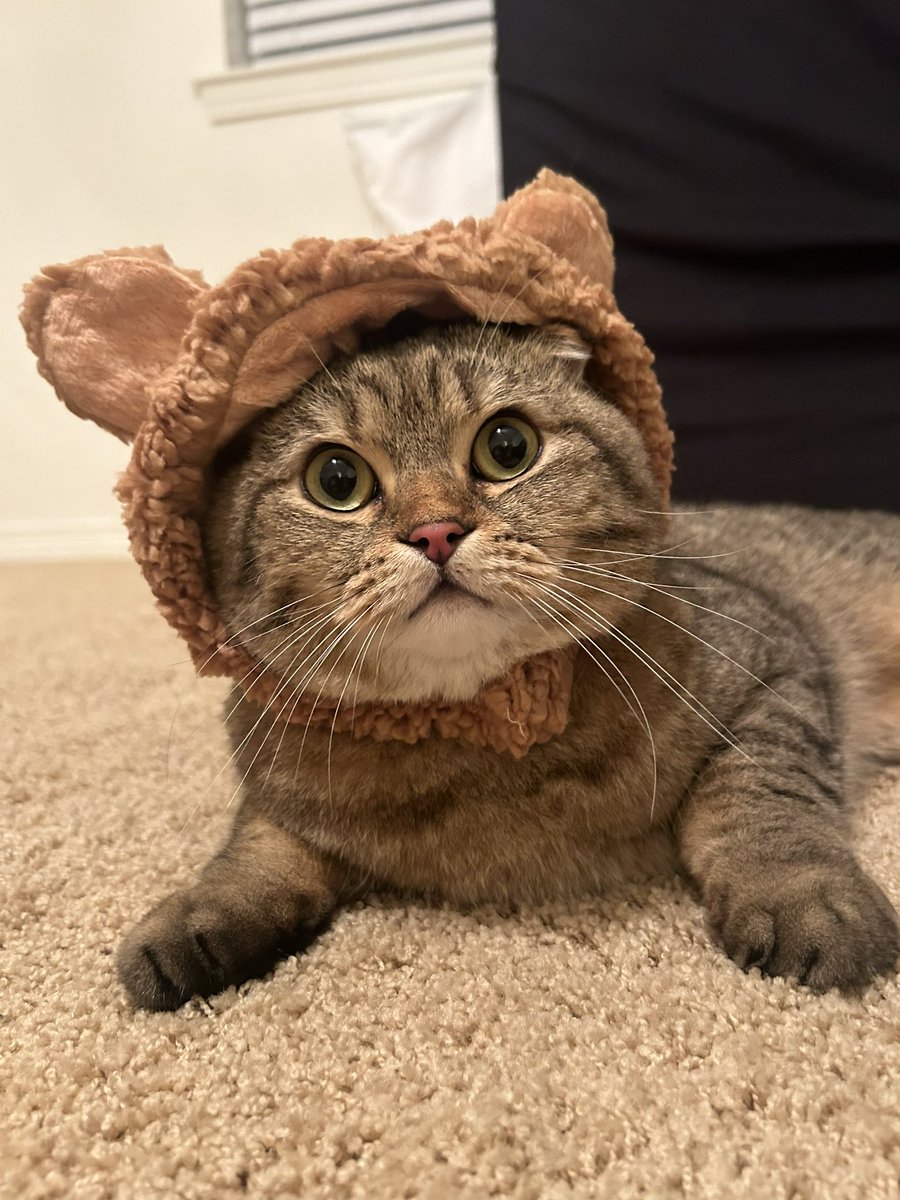 change (@changefomo) on Twitter photo 