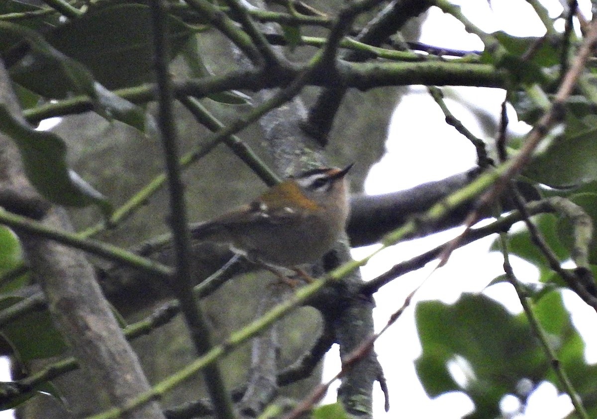 Rob Andrews tweet media