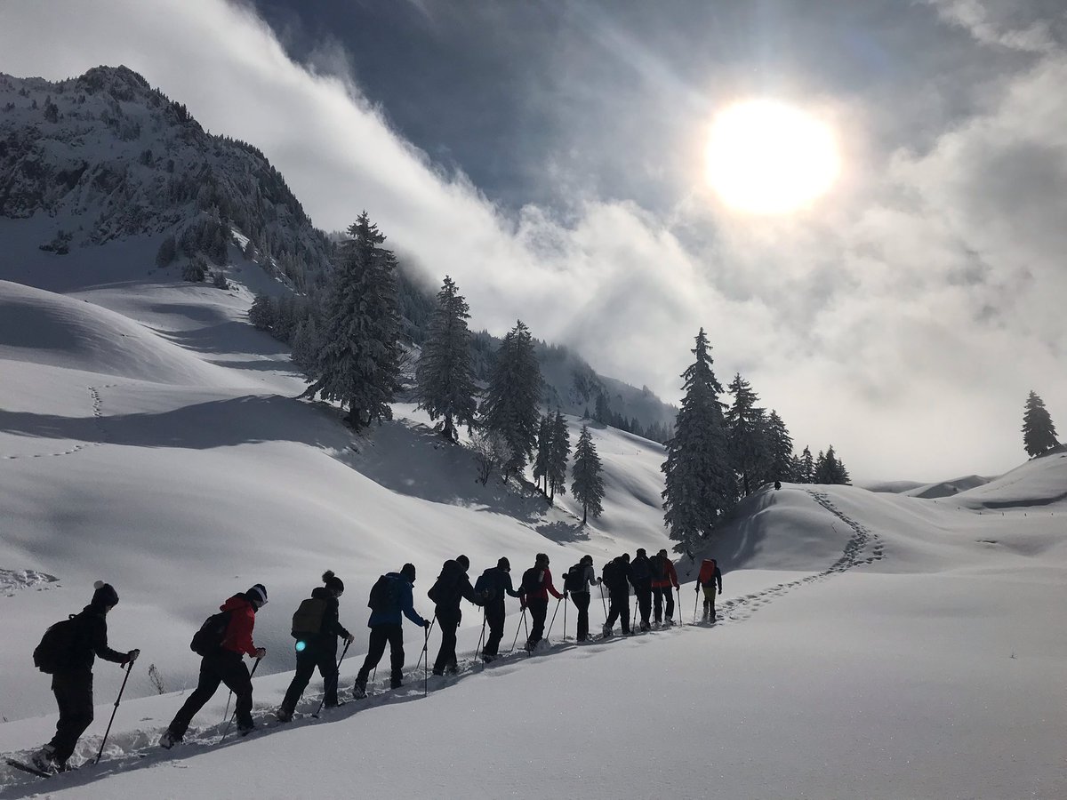 Matravers CCF tweet media