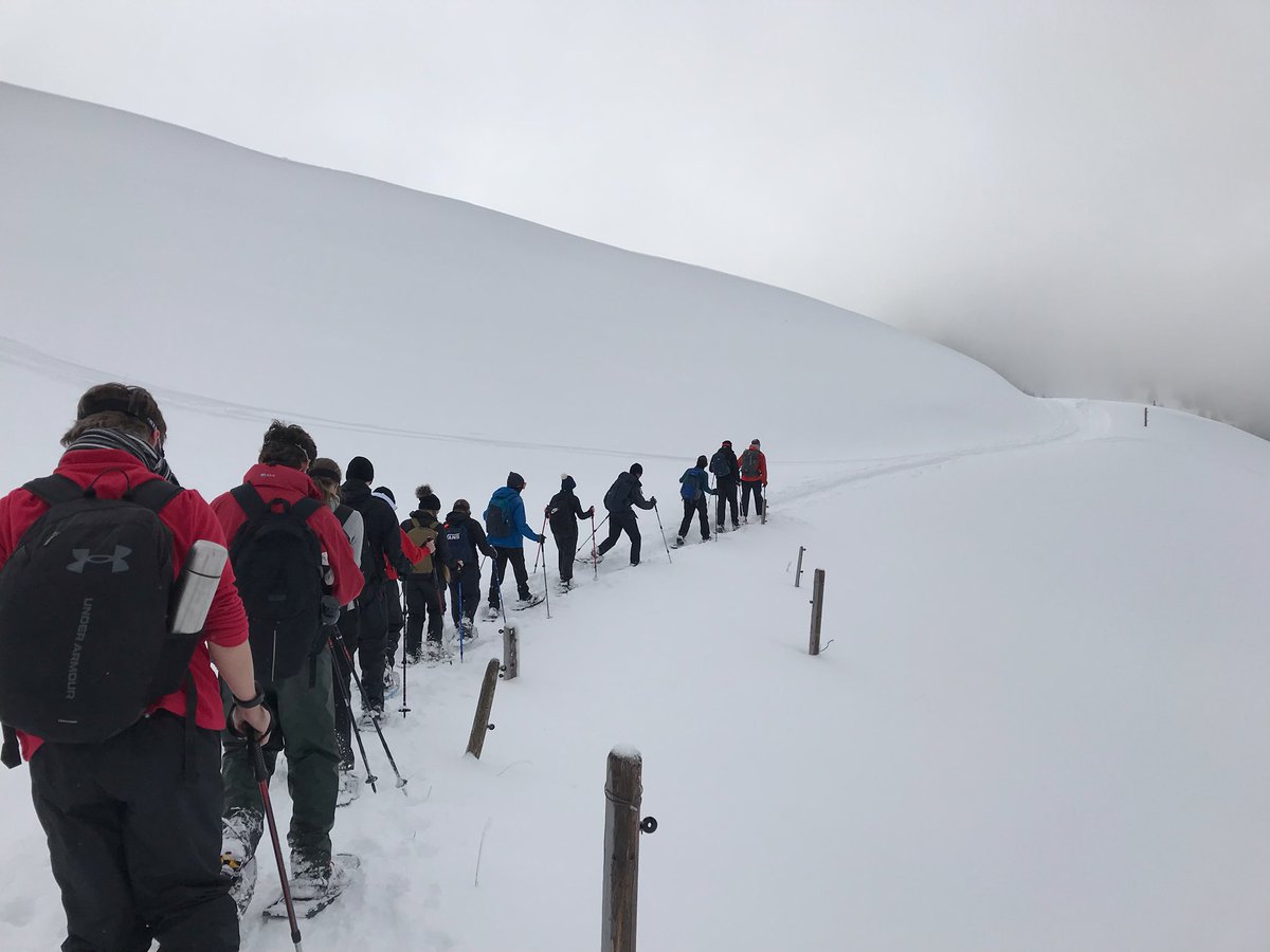 Matravers CCF tweet media