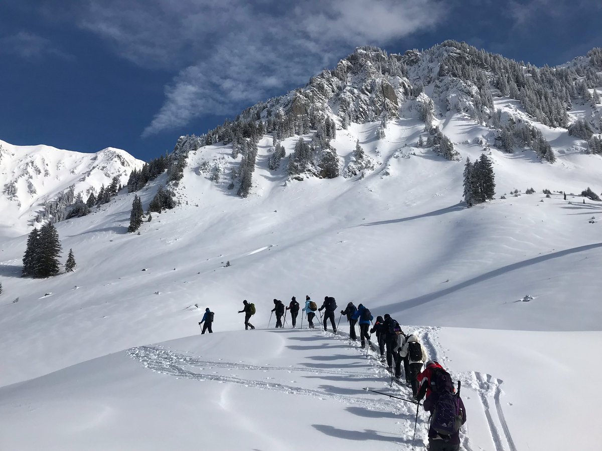 Matravers CCF tweet media