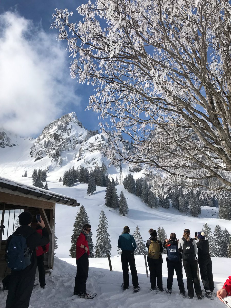 Matravers CCF tweet media