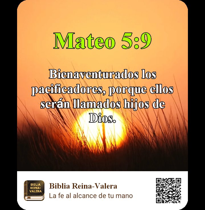 bertin_segundo's tweet photo. Buenas Noches comunidad cristiana que la Paz del señor sea con ustedes Amen 🙏 https://t.co/FEPpyRhQF3