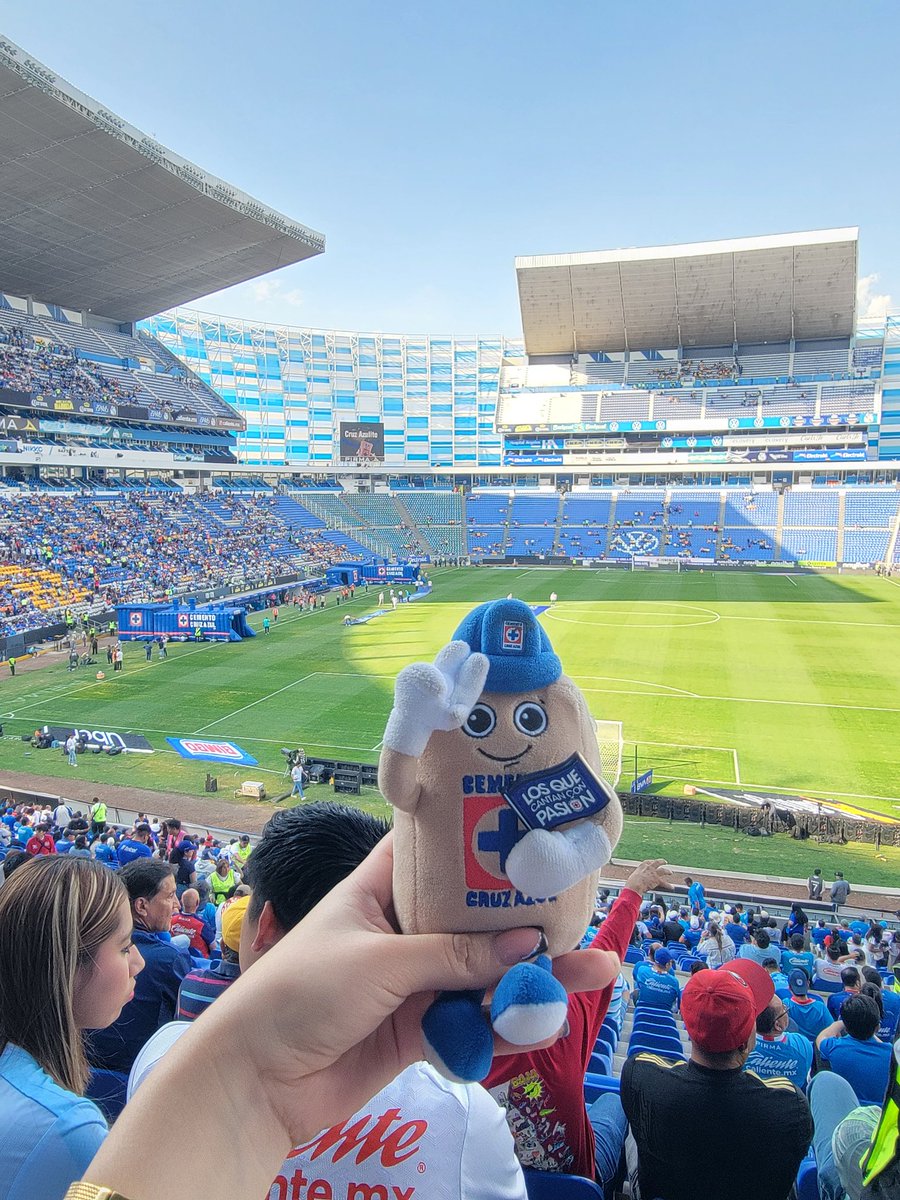 🇲🇽 Ivy tweet media