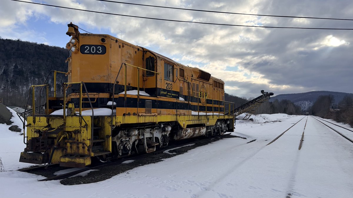 John Kavanagh tweet media