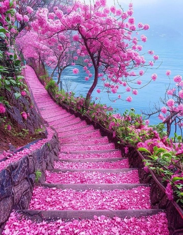 Allied international education system (@emmanature12) on Twitter photo 