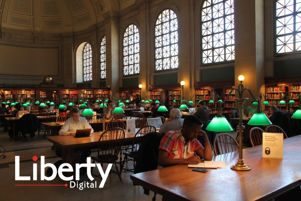 Softlink IC tweet media