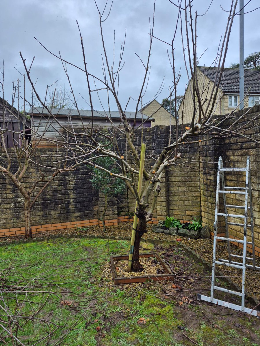 Pascal Gauvin tweet media