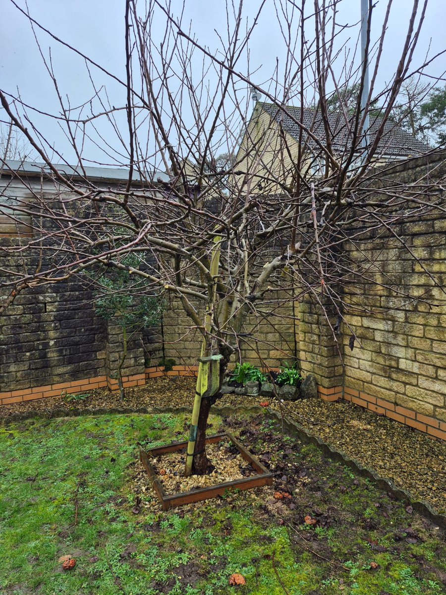 Pascal Gauvin tweet media