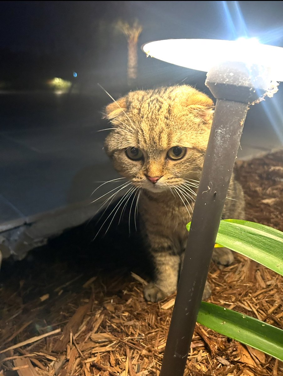 change (@changefomo) on Twitter photo 