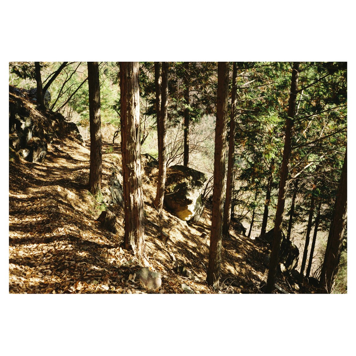 hacograph (@hacograph) on Twitter photo 