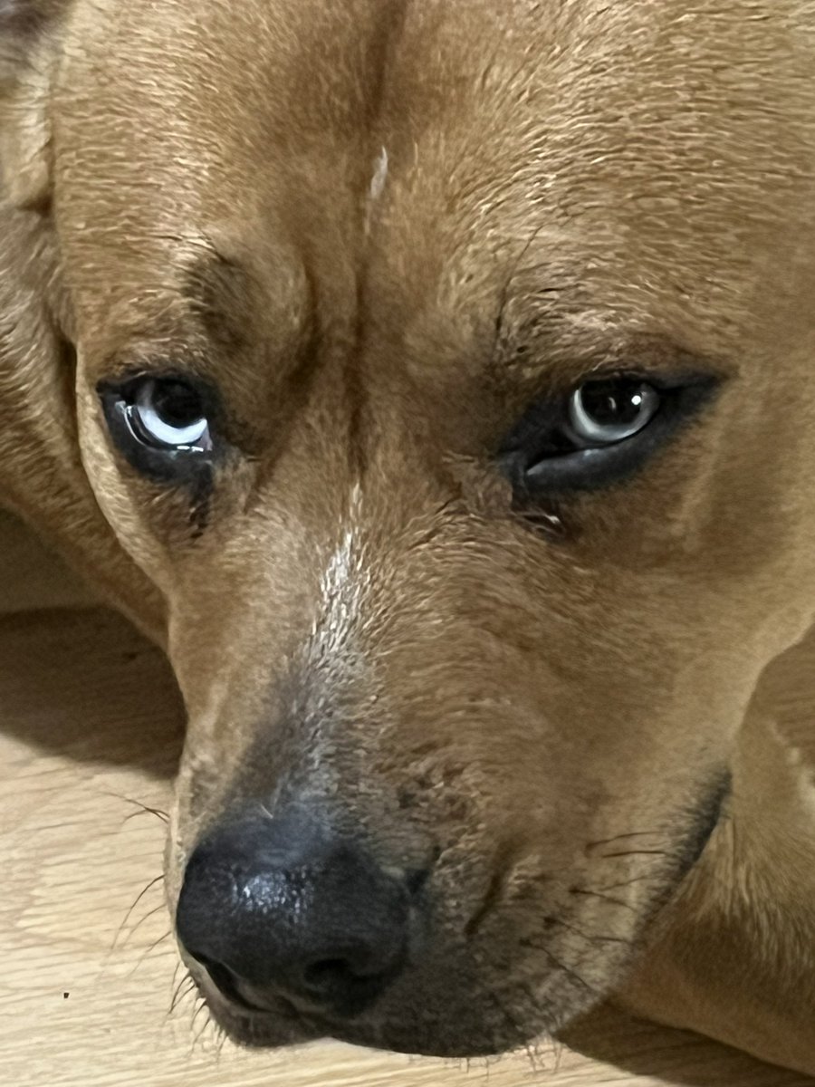 DrDetroit / Loadednode.com tweet media