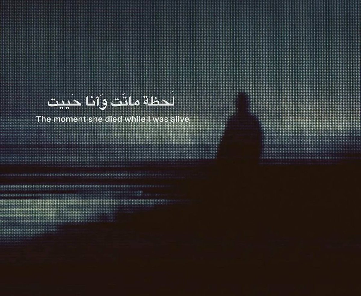 Megatron (@0xmeg3tr0n) on Twitter photo 