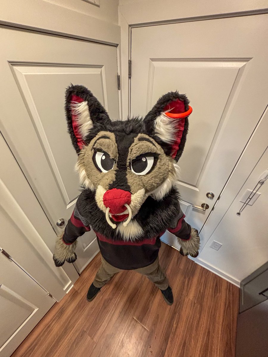 Who you calling short bub?!?!? #FursuitEveryday 
📸<a href="/atherianthrope/">SilverScared🐺❕</a>