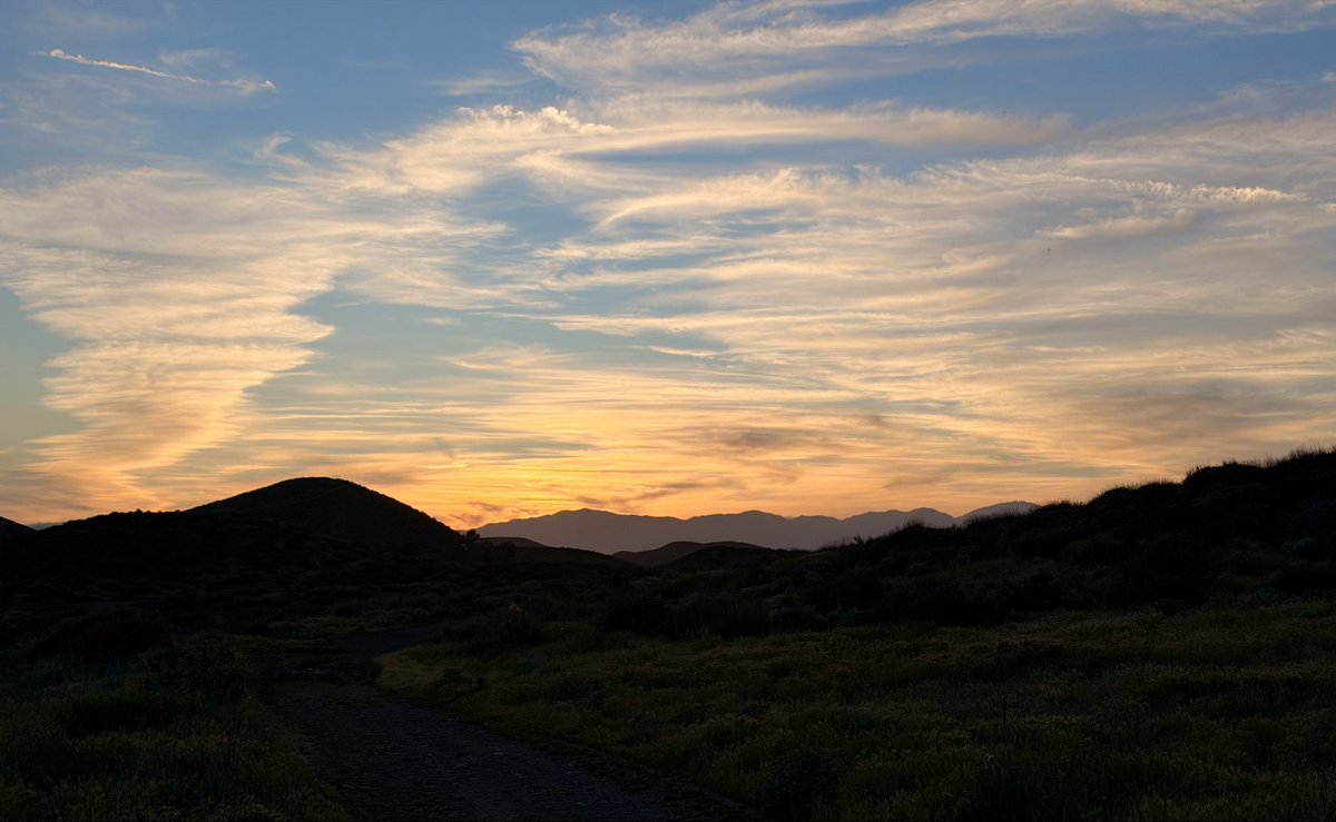 Daniel Martins tweet media