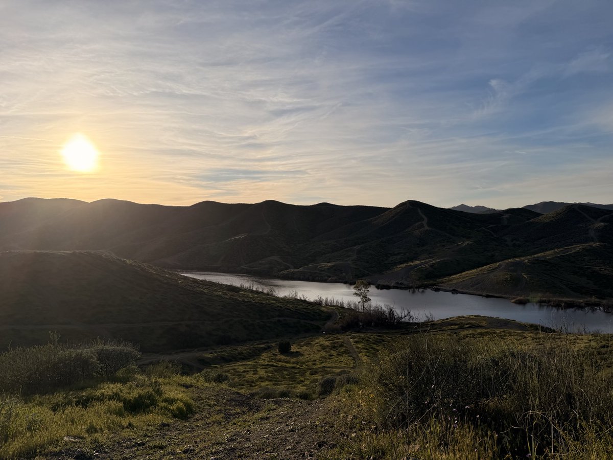 Daniel Martins tweet media