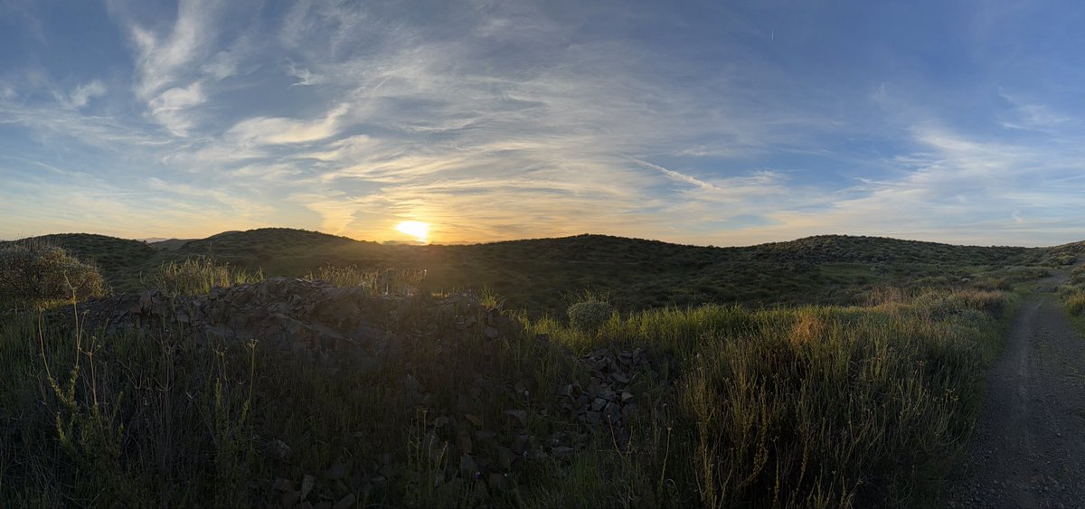 Daniel Martins tweet media