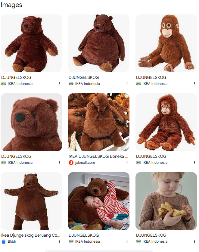 HanifaLutu's tweet photo. Djungelskog isn't a name, its a type of doll derived from a forest animal. And orangutan isn't a name too, but a type of monkey.

So why do we call it "punch" and not "monkey"?

Cause "punch" is a name, and so does the doll needs a name. we call it "maman," which means mother. https://t.co/Yx4gGtYYOa