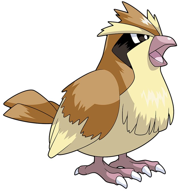 🧵 Día 12 — #016 Pidgey | Línea evolutiva

🐦 Datillos:
🌪️ Genera ráfagas de arena para defenderse
🧭 Inspirado en aves urbanas comunes
🎮 Uno de los primeros capturados por jugadores
📺 Muy presente en rutas iniciales del anime

👇 Sigue el hilo
#Pokemon #Pokedex