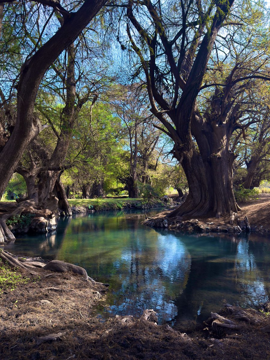 Juan Camilo Vásquez Salazar tweet media