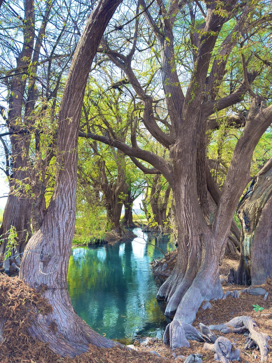 Juan Camilo Vásquez Salazar tweet media